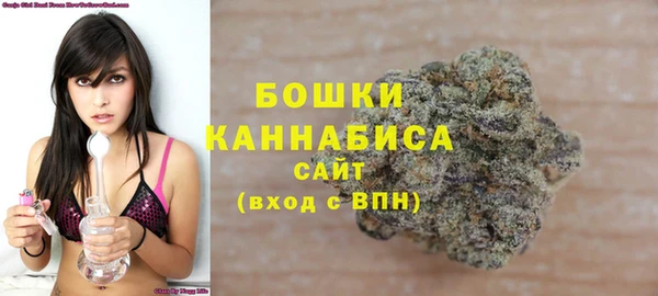 бошки Алексин