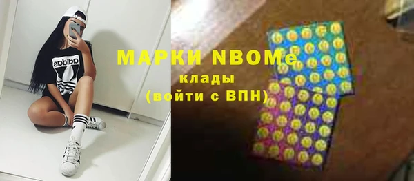 хмурый Алзамай