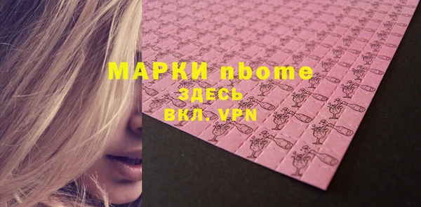 хмурый Алзамай