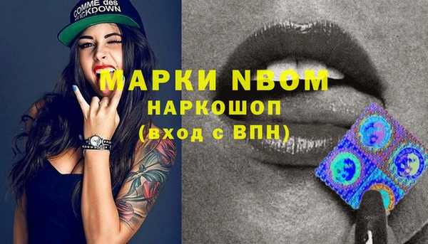 хмурый Алзамай